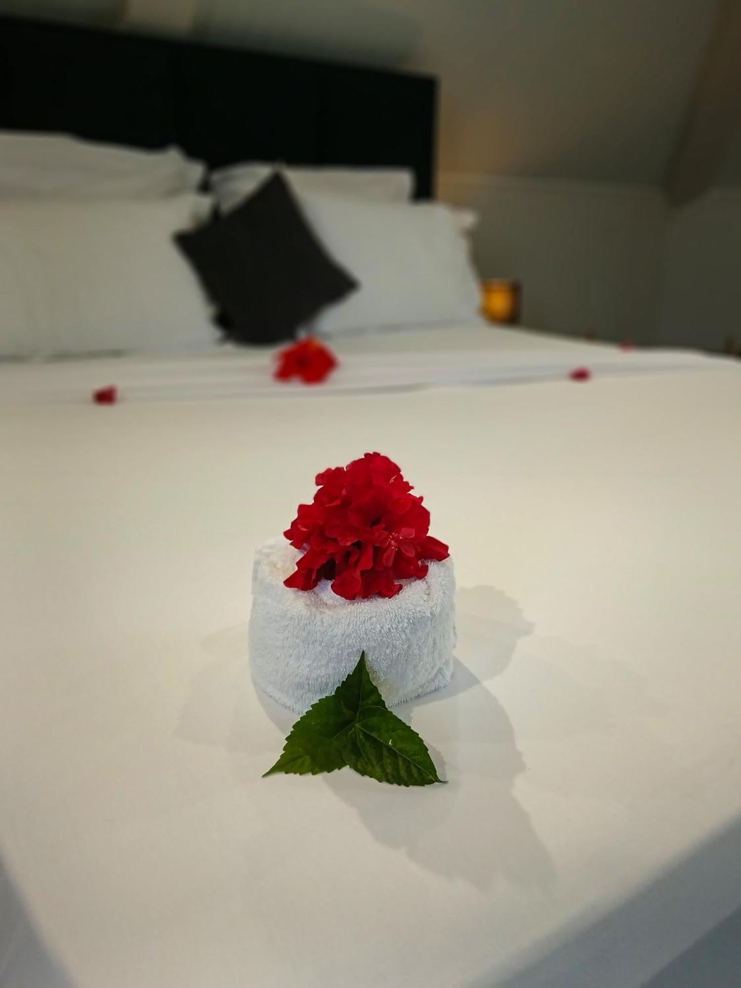 Hotel Village Pomme Cannelle 3 Etoiles Le Precheur المظهر الخارجي الصورة